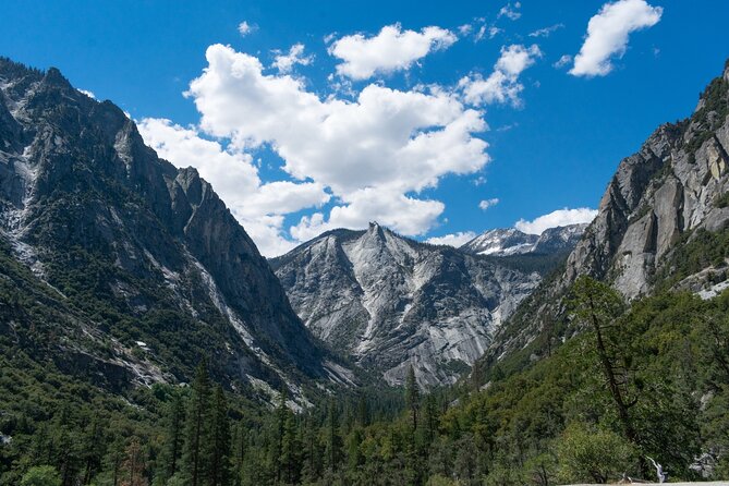 Kings Canyon National Park Self-Guided Audio Tour - Grant Grove: General Grant Tree and a walk that’s actually worth it