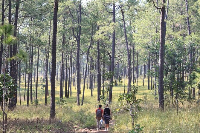 Kirirom National Park Private Day Tour from Phnom Penh - Entering Kirirom National Park: why this place has a story
