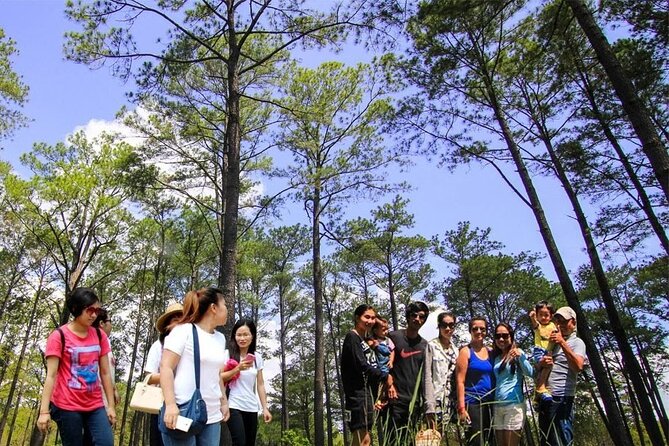 Kirirom National Park Private Day Tour from Phnom Penh - The higher drive and viewpoints: the payoff after the walking