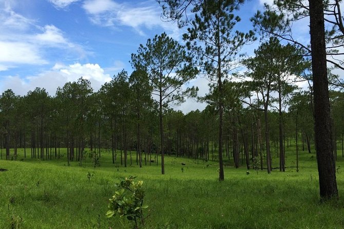 Kirirom National Park Private Day Tour from Phnom Penh - Hiking around lakes and forests: how to pace yourself for a 7-hour day