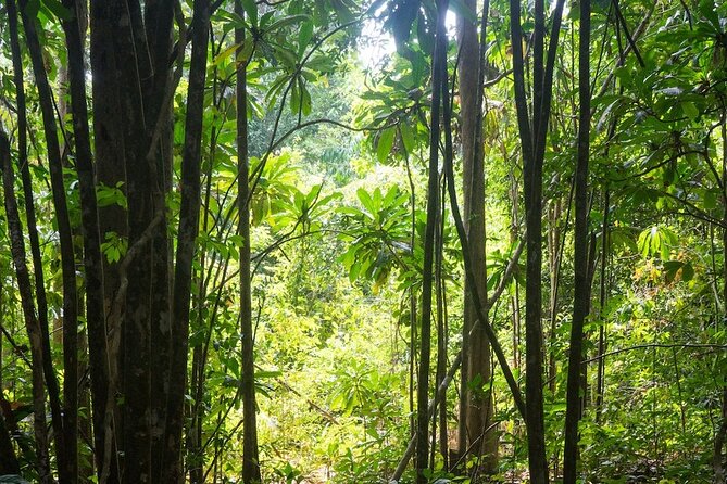 Kirirom National Park Private Day Tour from Phnom Penh - Chambok village: seeing rural life beyond the roadside