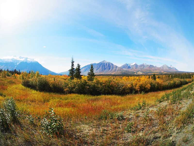Kluane National Park: Full Day Tour - Price and value: does $237 make sense for a 9-hour day?