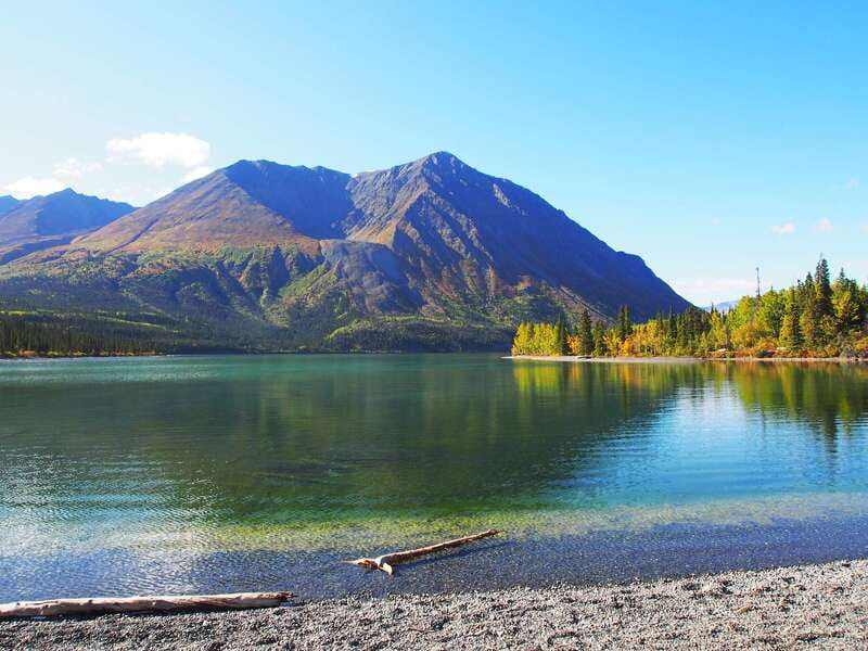 Kluane National Park: Full Day Tour - The guides and the vibe that makes the hours fly