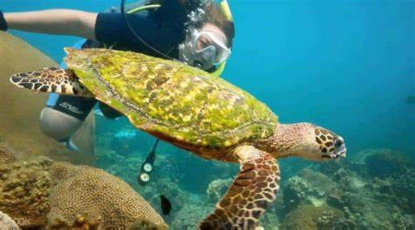 Koh Phangan: Angthong National Park Speedboat Tour - Rating Reality Check: 3.4 Out of 5