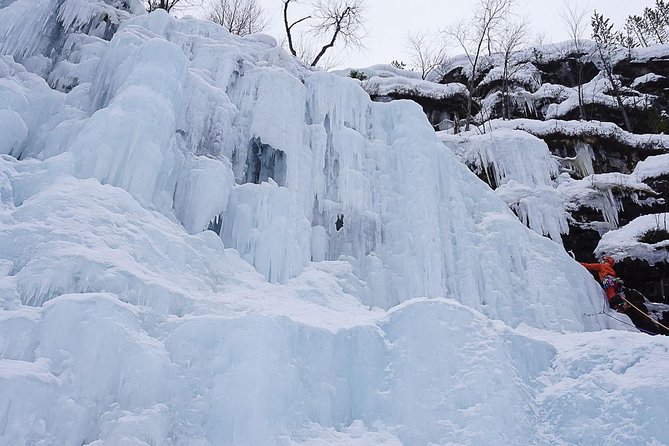 Korouoma National Park & Frozen Waterfalls Adventure - Campfire tea, snacks, and BBQ: warming up the right way