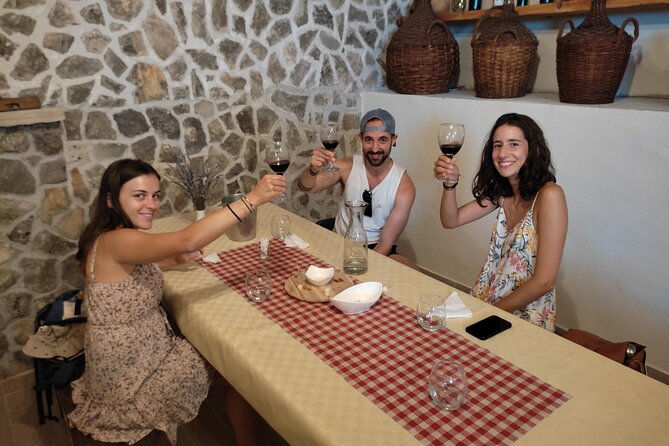 Krka National Park Tour with tour Guide & Wine tasting from Split & Trogir - The guide and driver: the biggest quality signal