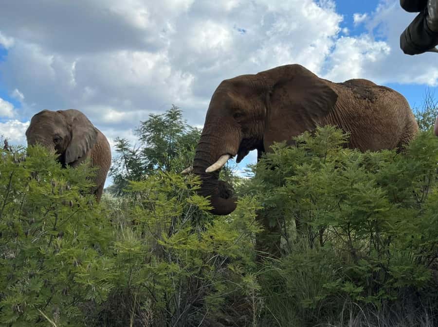 Kruger National Park: 4-Day Ultimate Safari Tour - Day 1: Johannesburg to Kruger via the Panorama Route and Blyde River Canyon