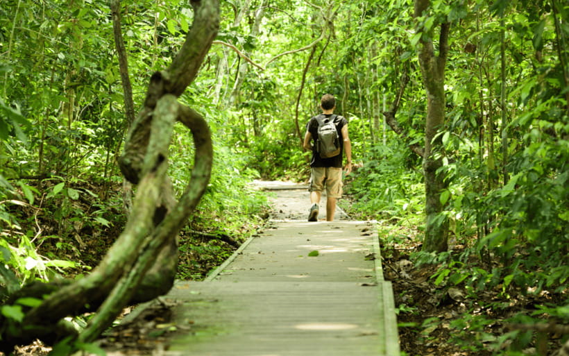 Kuala Lumpur: Taman Negara National Park Teras Waterfall - River cruise on the Tahan River: a satisfying reset after hiking