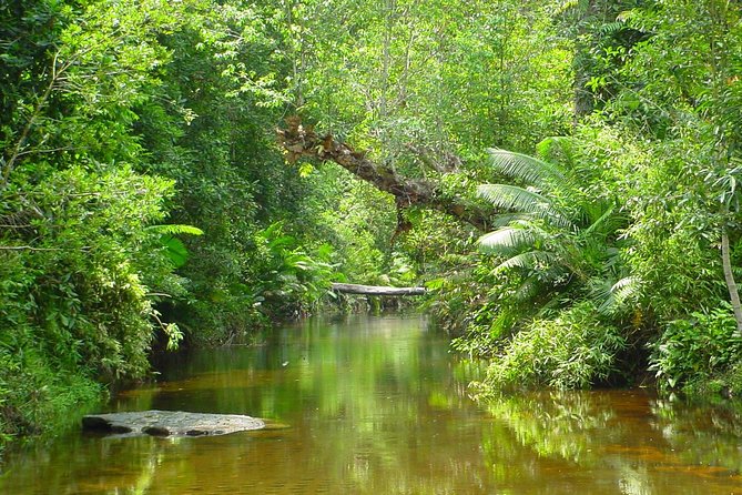 Kulen National Park Ticket - Reclining Buddha, River of 1000 Lingas, Waterfall: What You’ll See