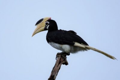 Kumana National park Full day safari - Price and value: what $190 buys you on a long day