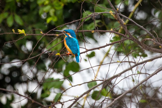 Kumana National park Full day safari - Afternoon wildlife watch: patience, heat, and the payoff