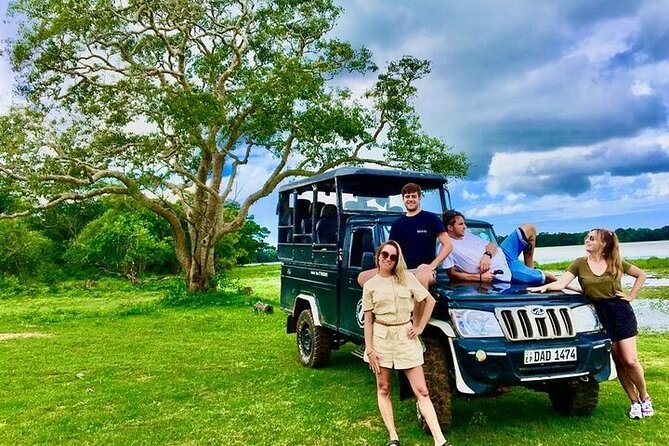 Kumana National Park Half Day Jeep Safari - Wildlife Possibilities: A Realistic Checklist of Species to Scan For