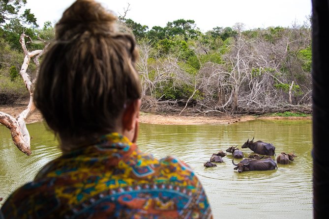 Kumana National Park Half Day Jeep Safari - Should You Book This Kumana National Park Half-Day Jeep Safari?