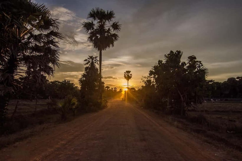 Kumana National Park Leopard Safari PRIVATE Tour - The 4-hour park drive: how the day unfolds