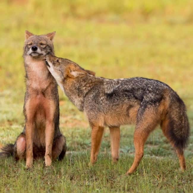 Kumana National Park Leopard Safari PRIVATE Tour - Kumana Villu: the birdwatching stop that changes the whole feel