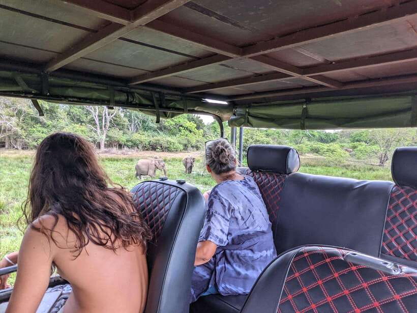 Kumana National Park : Morning or Afternoon Safari Tour - Price and value: what $47 really covers (and what adds cost)