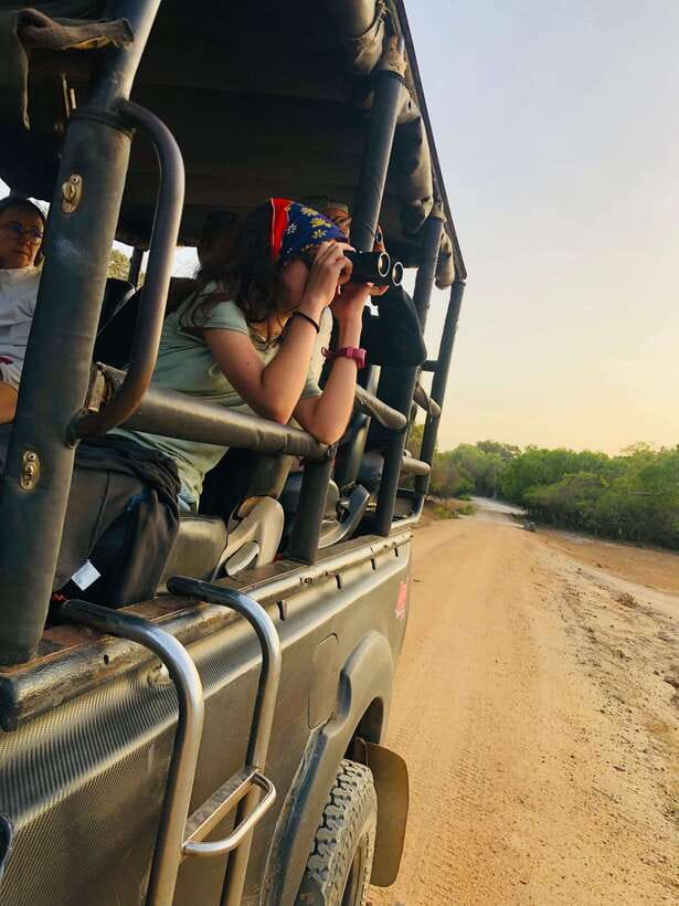 Kumana National Park : Private Half-Day Jeep Safari - Guide and driver: English commentary plus the right stop
