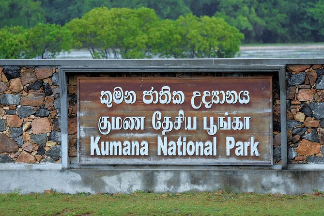 Kumana National Park Safari | from Arugam Bay - Why Kumana from Arugam Bay is a smart birdwatching choice