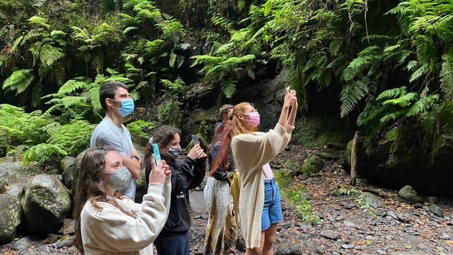 La Gomera: Garajonay National Park Entry Ticket and Tour - Volcanic power: super volcanoes and El Peñón de Agando
