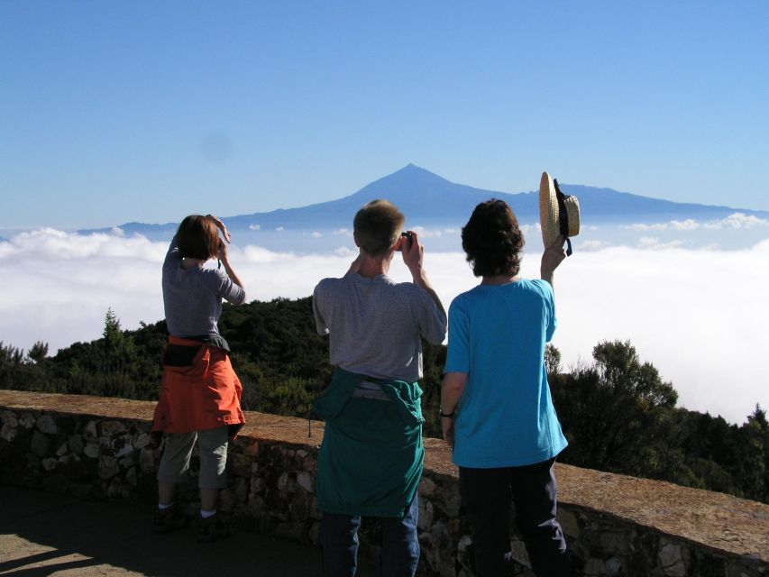 La Gomera: The Rain Forest (national park) - Garajonay’s rainforest: what you’re really walking into