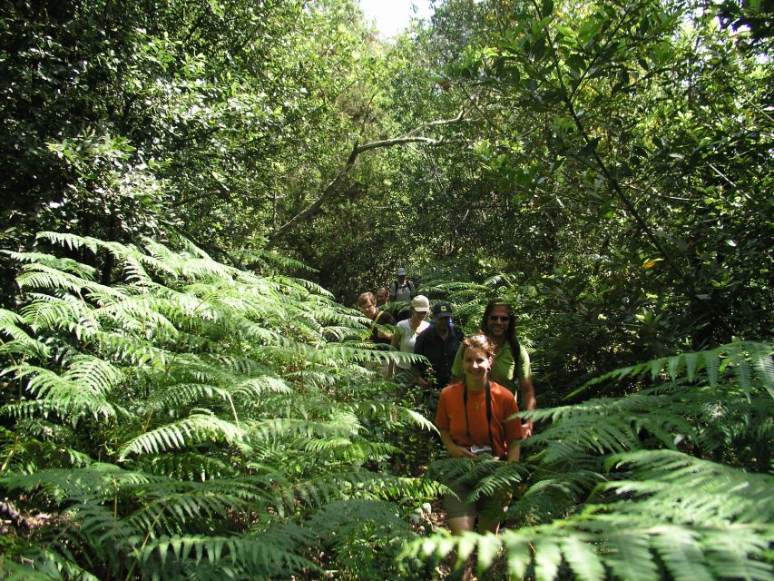 La Gomera: The Rain Forest (national park) - How hard is it, really? Pace, distance, and the numbers that matter