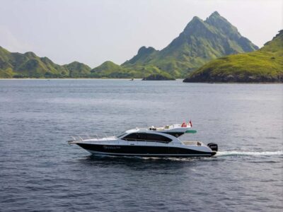 Labuan Bajo: Komodo National Park Full-Day Speedboat Tour - Pickup at dawn: the real secret is beating the crowds