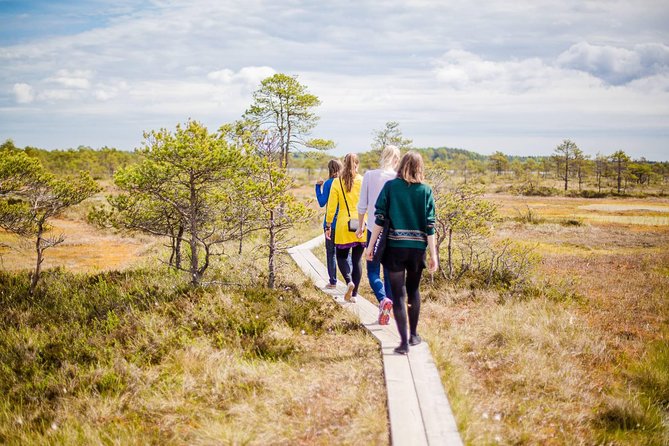 Lahemaa National Park Day Trip - Altja seaside trail: North Estonia’s coast walk