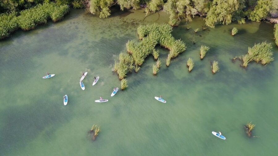 Lake Balaton: Paddle Board Tour of Tihany National Park - The 2-Hour Flow: From Easy Instruction to a Calm 3 km Loop