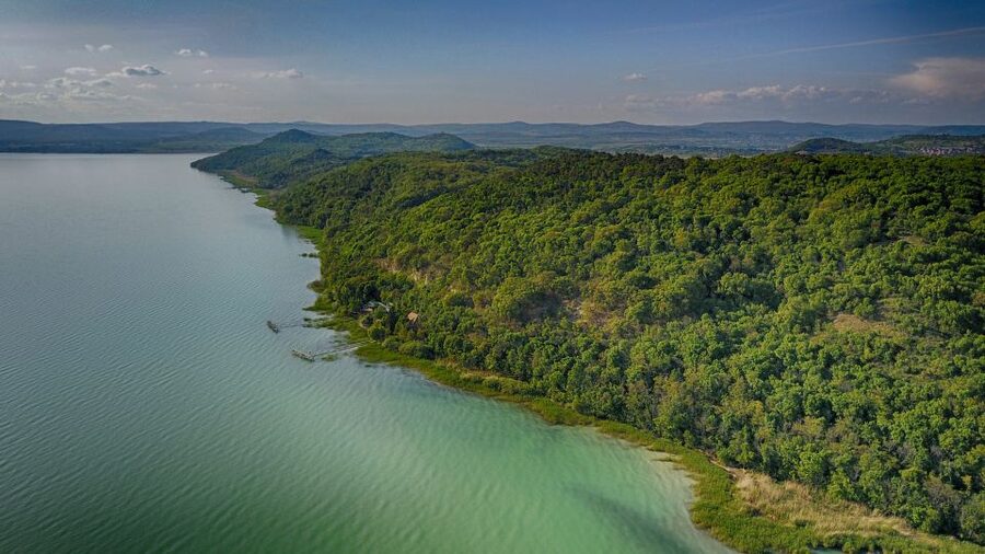 Lake Balaton: Paddle Board Tour of Tihany National Park - Who Should Book It (and Who Should Skip It)