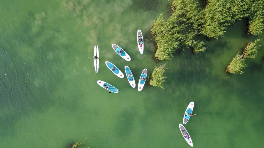 Lake Balaton: Paddle Board Tour of Tihany National Park - Getting Started at Club Tihany: Where You Meet and What You’ll Use