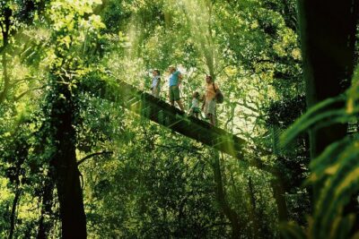 Lamington National Park, O'Reilly's & Vineyard Tour - Kamarun Lookout at 1,000 Metres: Big Views, Short Time