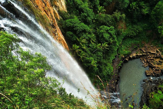 Lamington National Park, O'Reilly's & Vineyard Tour - Price and Value: Is $92.52 a Good Deal for This Mix?