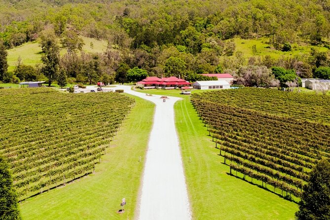 Lamington National Park, O'Reilly's & Vineyard Tour - Who This Tour Fits Best (and who might want a different style)