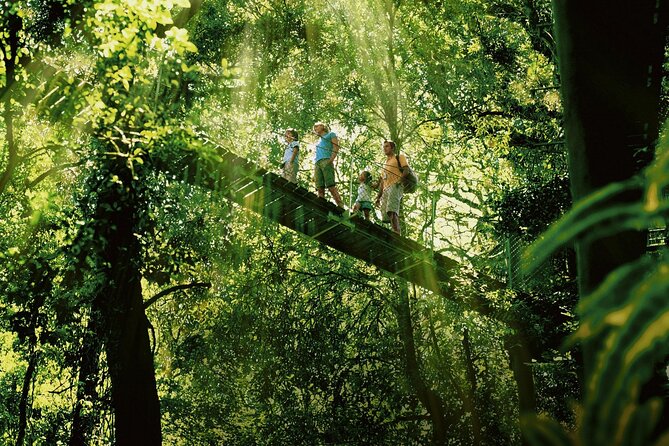 Lamington National Park, O'Reilly's & Vineyard Tour - Kamarun Lookout at 1,000 Metres: Big Views, Short Time