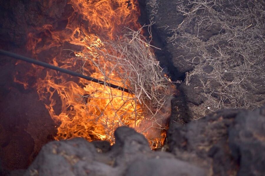 Lanzarote: 5-Hour Timanfaya National Park Southern Tour - Casa Museo y Monumento al Campesino: the 30-minute farming story stop