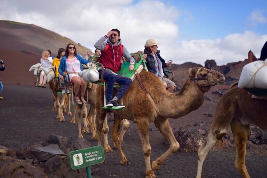 Lanzarote: 5-Hour Timanfaya National Park Southern Tour - Timanfaya National Park: Fire Mountains and lava fields, guided and time-certain