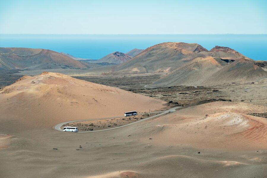 Lanzarote: Timanfaya National Park & La Geria Tour - La Geria Wine Country: How Vines Survive Volcanic Ground