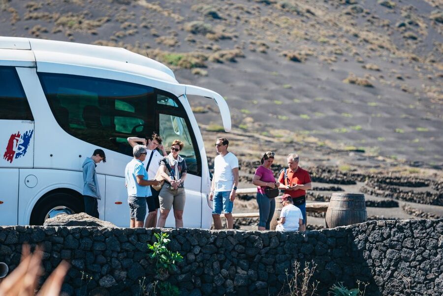 Lanzarote: Timanfaya National Park & La Geria Tour - Should You Book the Timanfaya and La Geria Tour?
