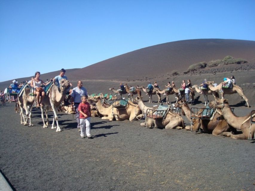 Lanzarote: Timanfaya National Park Tour - Timanfaya National Park feels lunar for a reason