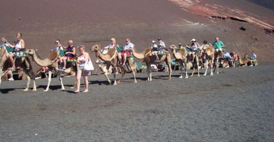 Lanzarote: Timanfaya National Park Tour - The geothermal route: craters, vents, and the live demonstrations