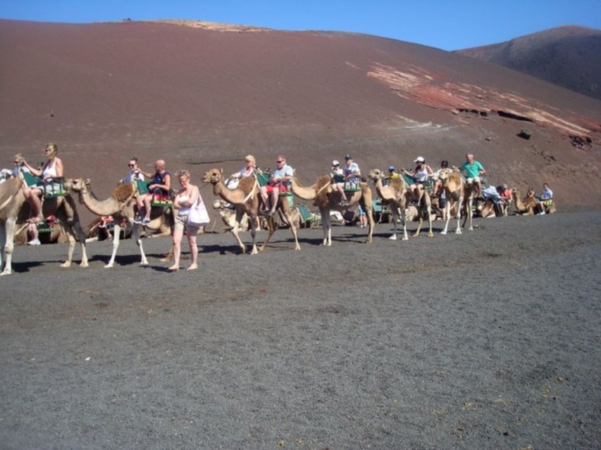 Lanzarote: Timanfaya National Park Tour - Should you book the Timanfaya National Park Tour?