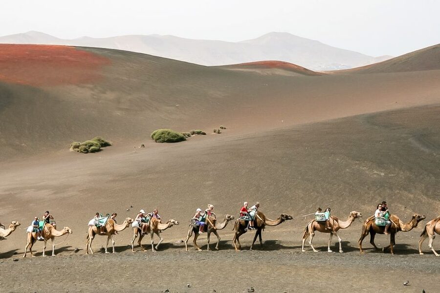 Lanzarote: Timanfaya National Park Volcanic Craters Tour - Key highlights to know before you go