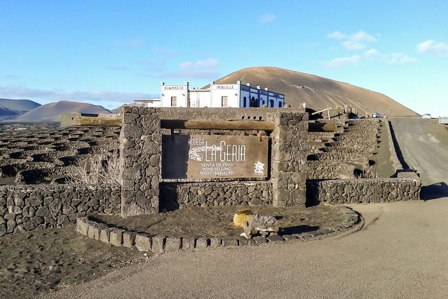 Lanzarote: Timanfaya National Park Volcanic Craters Tour - Camel ride add-on at the volcano area: worth it, but plan for extra cash