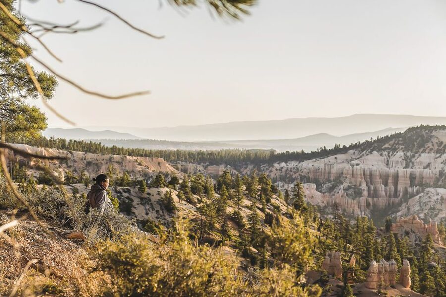 Las Vegas: Grand Canyon National Park South Rim Guided Tour - Walking options: paved road between viewpoints, Guided Walking Tour, and Trail of Time