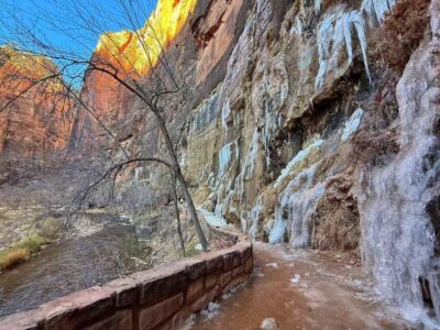 Las Vegas: Zion National Park Group Tour with Lunch - Entering Zion: Tunnel Views and Visitor Center Setup