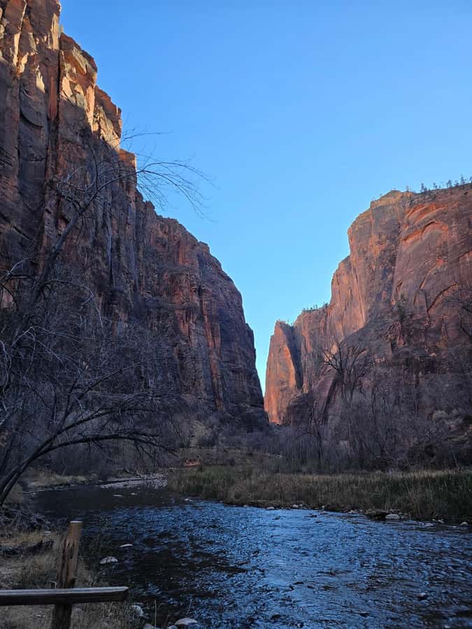 Las Vegas: Zion National Park Group Tour with Lunch - Riverside Walk and the Virgin River: Easy Walking With Real Feel