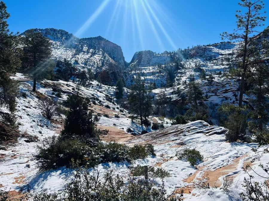 Las Vegas: Zion National Park Group Tour with Lunch - Scenic Viewpoints: Built-In Photo Time Without the Chaos