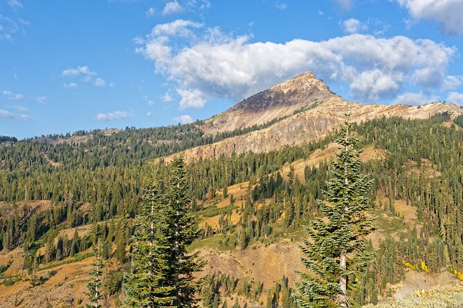Lassen Volcanic National Park Self-Guided Audio Driving Tour - Who this self-guided tour is best for