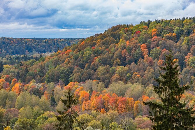 Latvia's Switzerland and Gauja National Park Tour - Key highlights you’ll care about
