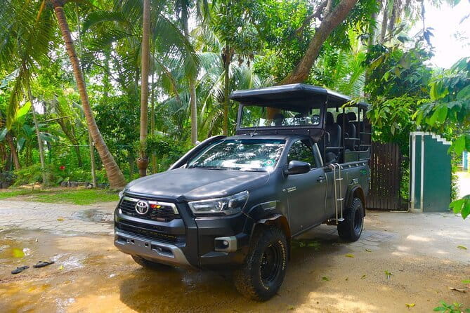 Leopard Half Day Yala National Park Eleven Safari - The Guide Factor: Spotting Faster Than You Think